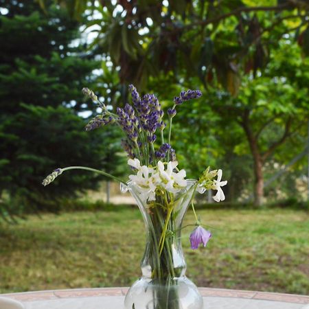 Sunny Retreat With A Garden Terrace Private Room 이오아니아 외부 사진