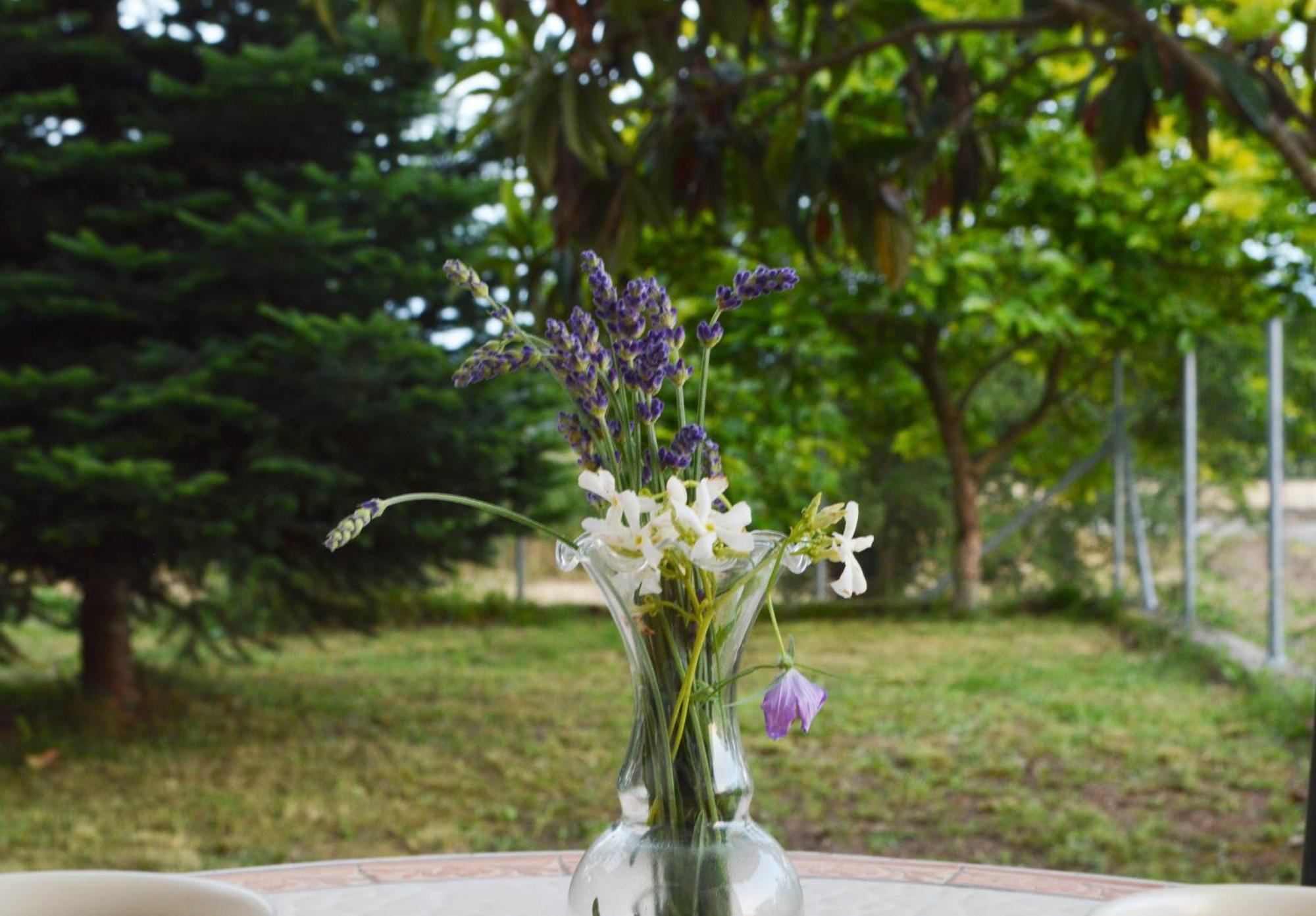 Sunny Retreat With A Garden Terrace Private Room 이오아니아 외부 사진